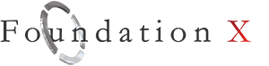 Foundation X LLC - Custom Software and AI Governance Consulting